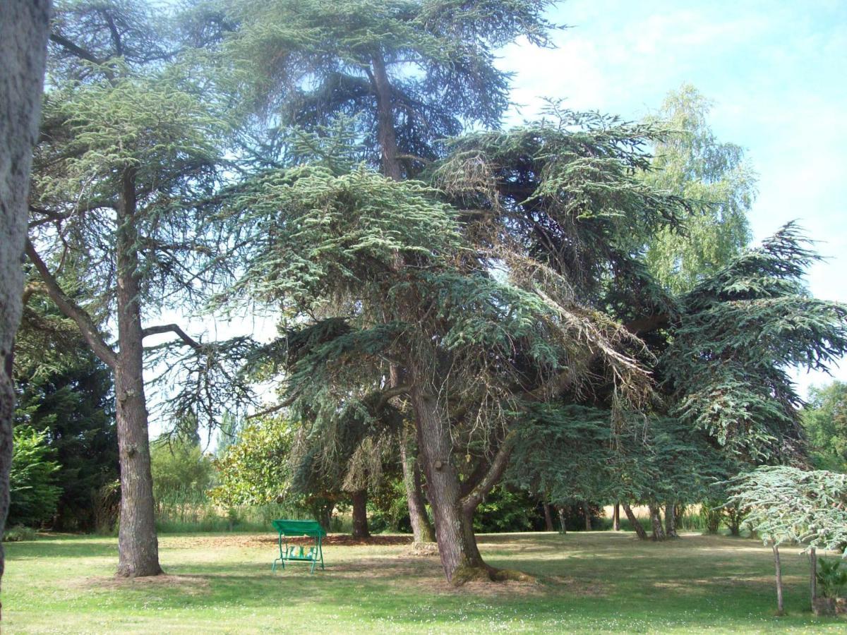 Chateau Le Guit Grignols  Esterno foto